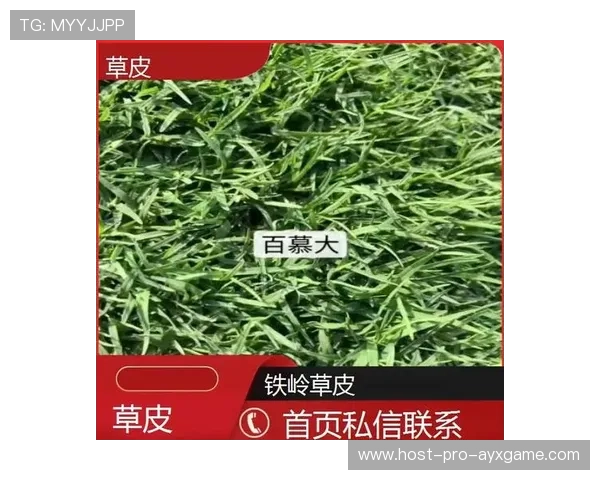 世界板球技术研究院发布草皮抗病维护新技术