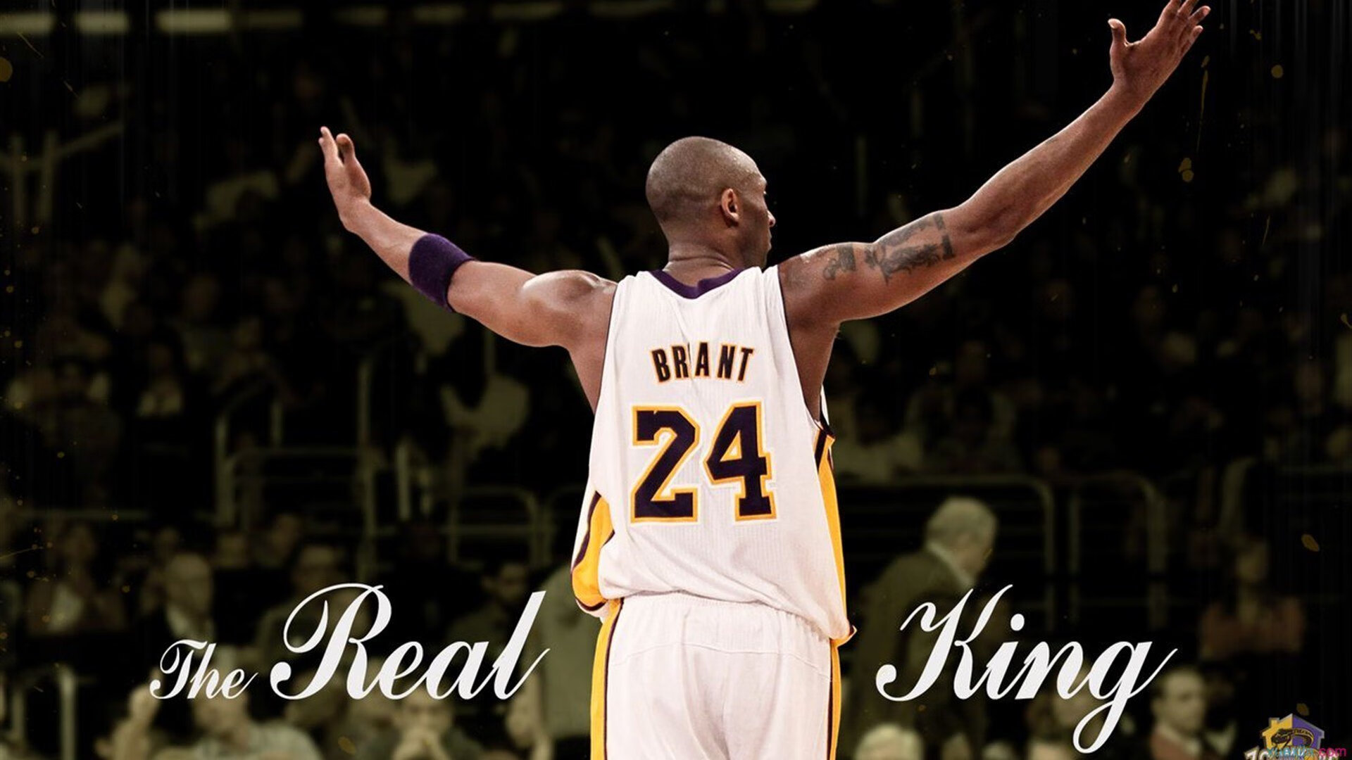 中国篮球联赛观众行为特征与市场营销,篮球观众席座次安排图